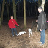 avondwandeling in het bos