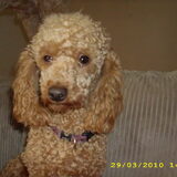 dit is fleur