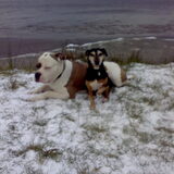 Dyson en Jesse