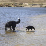 Samen met Lloyd in het water, maar ik ga toch altijd veel dieper als…
