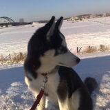 Dazey half jaar SNEEUW!