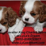 Foto van OF LYLA'S DREAM