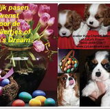 Foto van OF LYLA'S DREAM