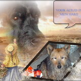 Foto van liesbeth,Turbo,Luna, Levi en Faith