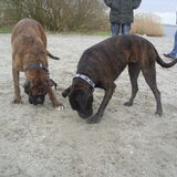 Samen met Tommy paaseitjes zoeken