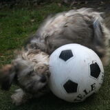 voetballen 3