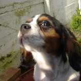 in de tuin ons Imeke