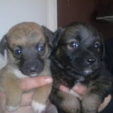Thinka met haar zusje (rechts)