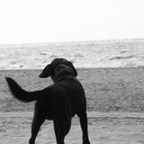 heerlijk genieten op strand