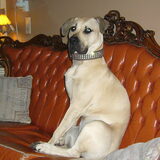 chica 7 maanden