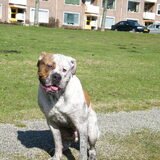 en dit is jack met 10 maand