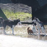 Foto van Shamilla & Zena