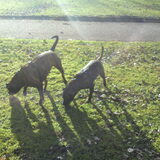Samen op pad in het park