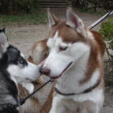 Foto van Shamilla & Zena