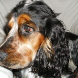 Foto van Joey-Dancer