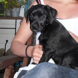 Op schoot. Tweede keer kijken.