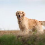 Foto van Josien