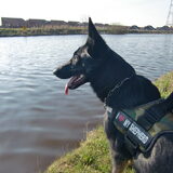 Hmm lekker even aan het water zitten:D