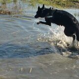yeahh! en weer lekker verder plonsen!