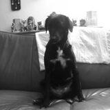 Suna op de bank:D