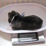 5 dagen oud