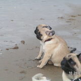 Samen op het strand