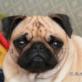 Romy