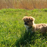 Lekker wandelen in het zonnetje! 17-04-2010