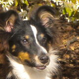 En dan nog even een close up van mijn schattig bolletje ... Toch wel…