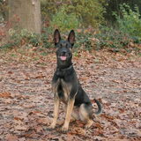 Foto van Ferry