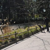 in de dierentuin