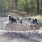 hp wandeling 18 april