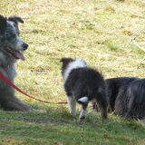 hp wandeling 18 april