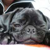 Lief!