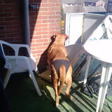 op het balkon met mijn broekje aan
