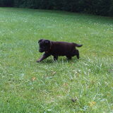 Oude foto's Roxy