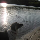 Je kunt er zo mooi wandelen!