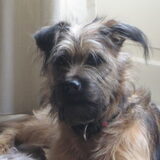 Foto van ingrid