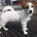 Onze Noor 6 maanden oud