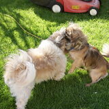 Foto van Helga & Zoëy