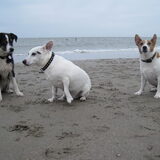Foto van Thijs en Charlotte