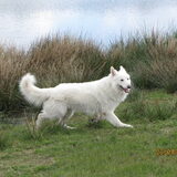 Hinto on the move