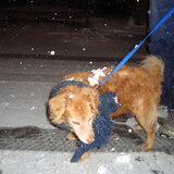 in de sneeuw