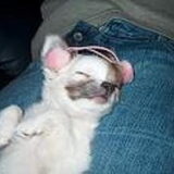 lekker op schoot