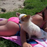 meilee en zoe op de camping