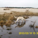 Ik ben dol op water!!!