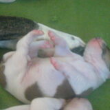 Foto van Wendy