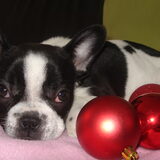 ff proberen voor een kerstkaartje