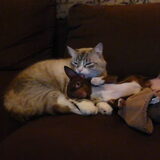 Renzo en onze kat Milo