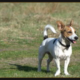Lente 2010